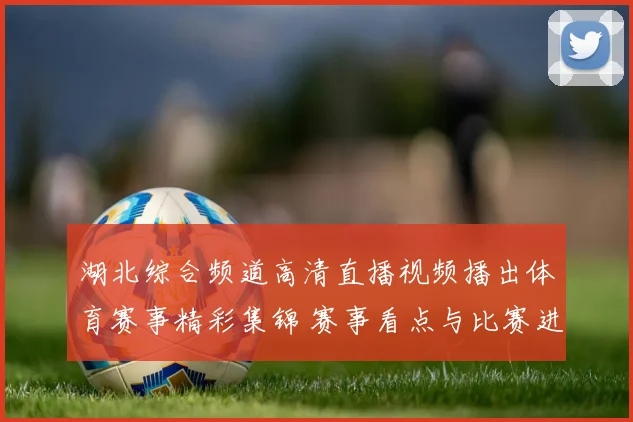 湖北综合频道高清直播视频播出体育赛事精彩集锦 赛事看点与比赛进程同步呈现