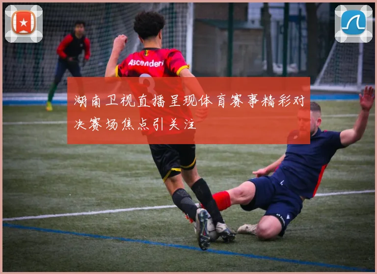 湖南卫视直播呈现体育赛事精彩对决赛场焦点引关注
