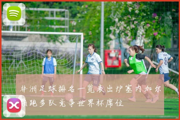 非洲足球排名一览表出炉塞内加尔领跑多队竞争世界杯席位