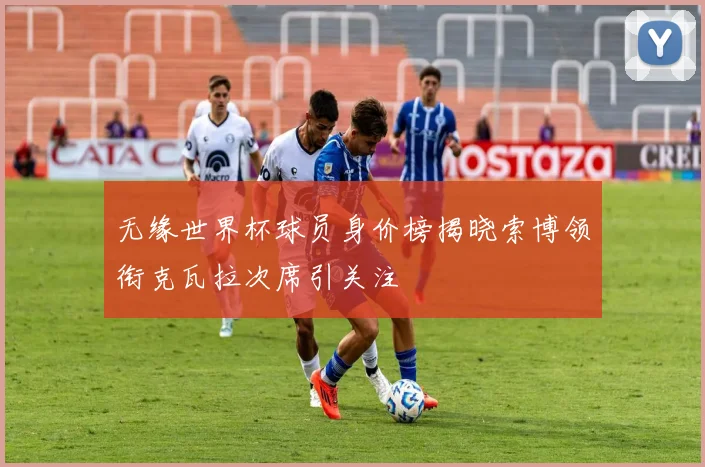 无缘世界杯球员身价榜揭晓索博领衔克瓦拉次席引关注