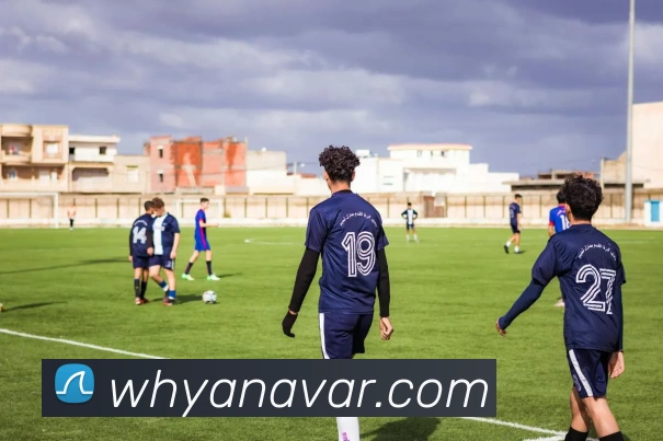 米兰体育官网登陆平台生态图