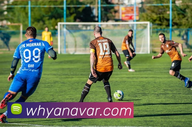 米兰体育官网登陆APP 封面图